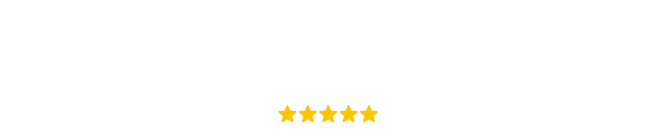 #1 Wordpress Agency